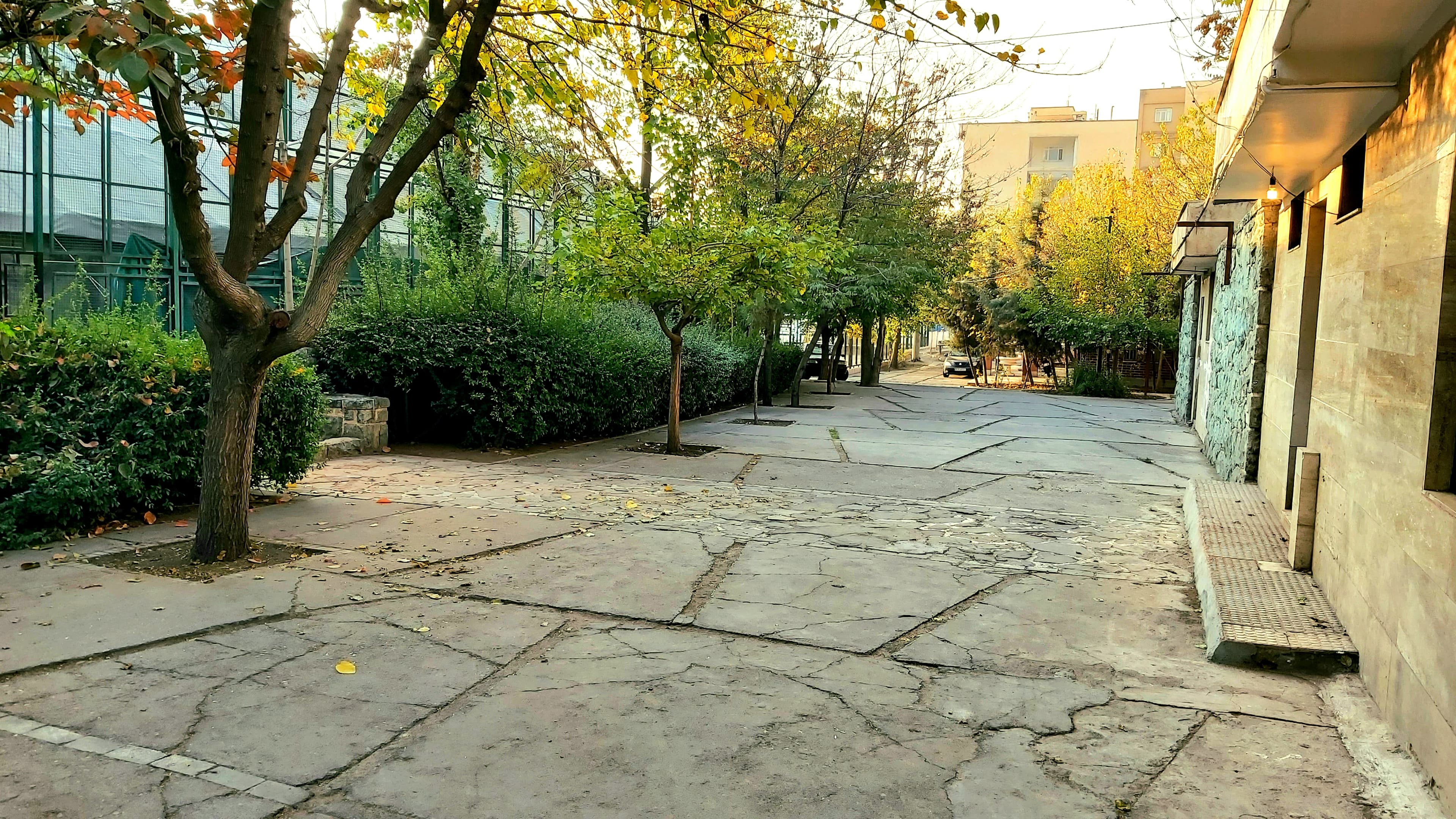 04062025080317081962.jpg