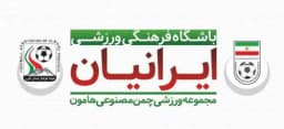 زمین چمن مصنوعی هامون
